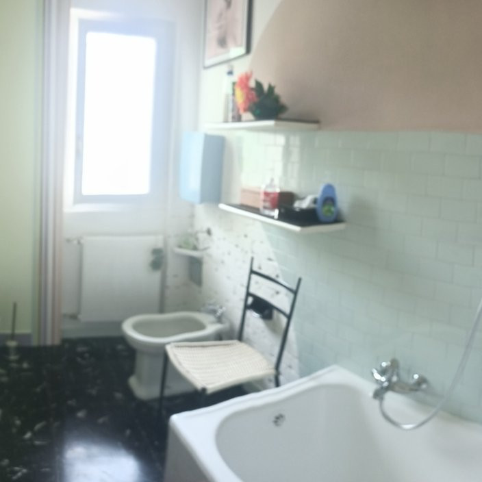 B&B Velocipede主图