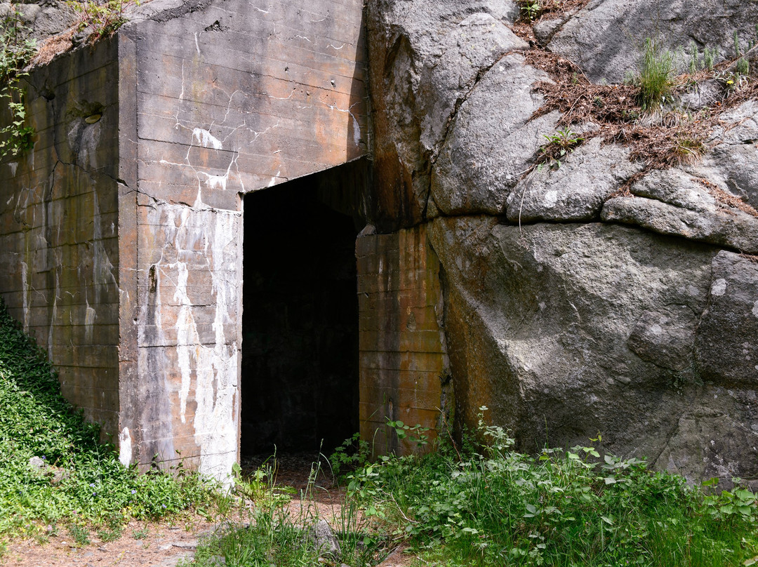 Kalvoysund Fort-Arendal必去景点
