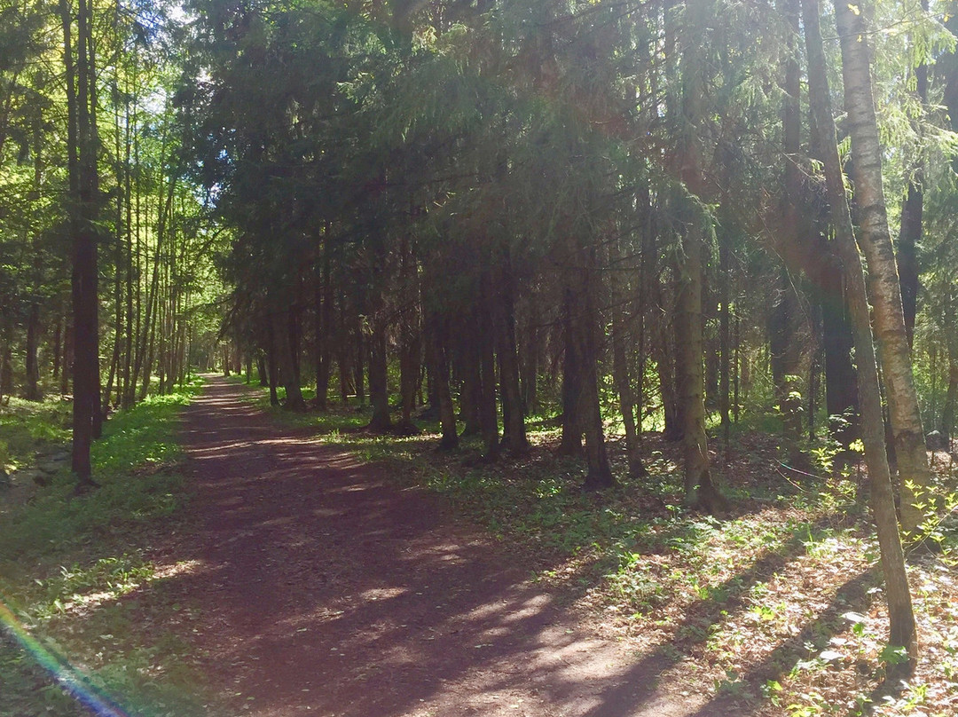 Babolovskiy Park景点图片