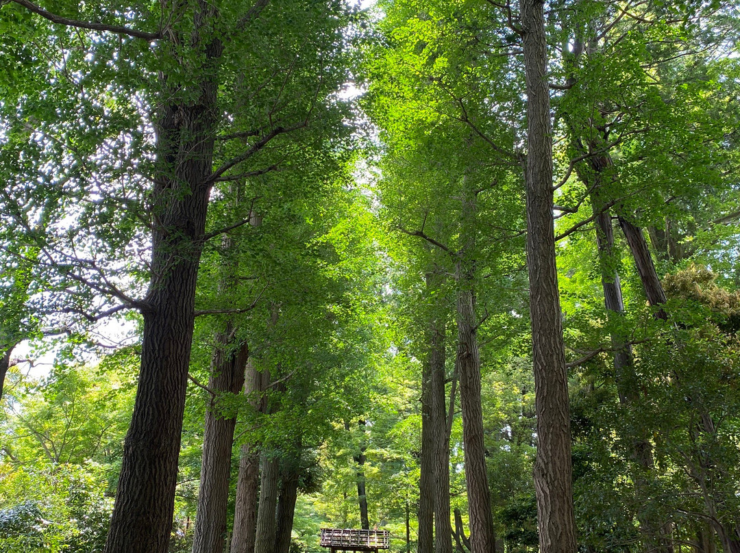 Ootaguro Park-Ogikubo必去景点