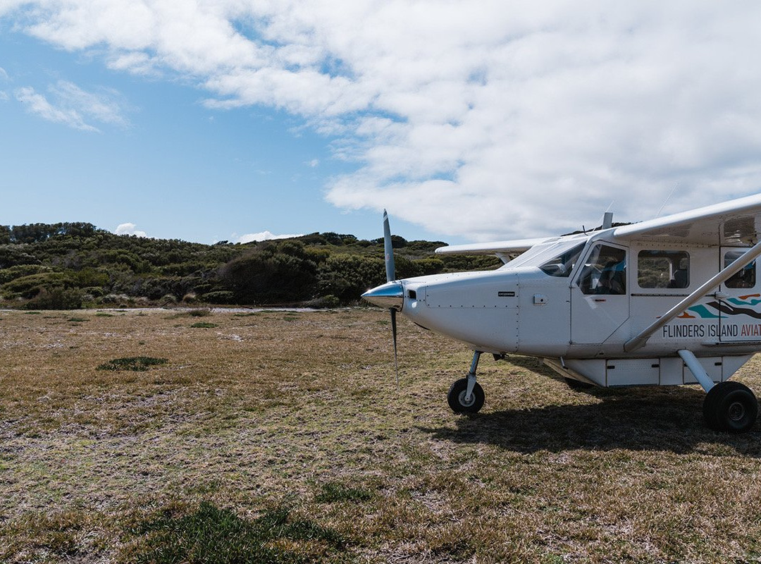 Flinders Island Aviation景点图片