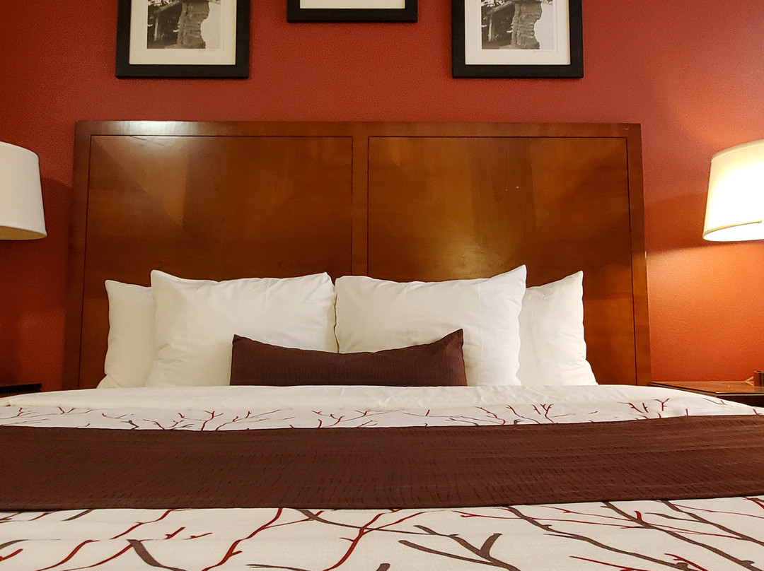 Apple Inn Motel主图