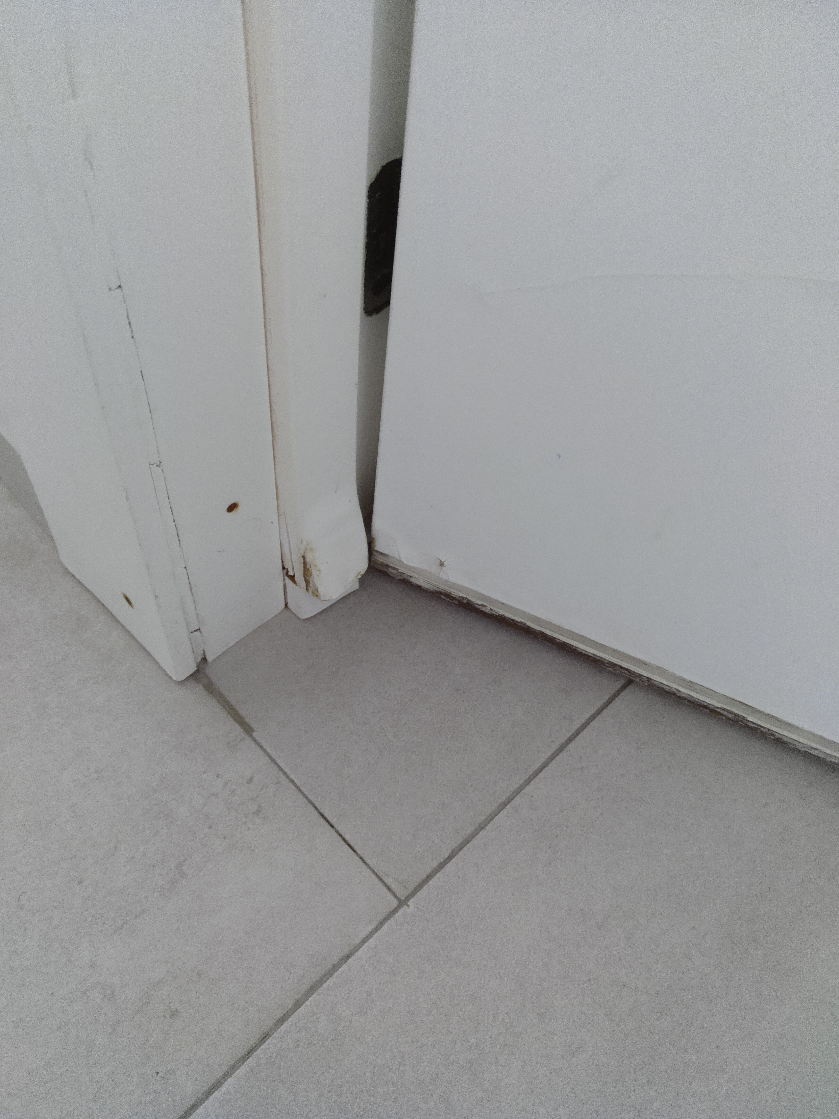 Petit Mirador-portrait