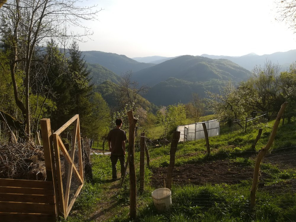 Eco Rooms Slovenia主图