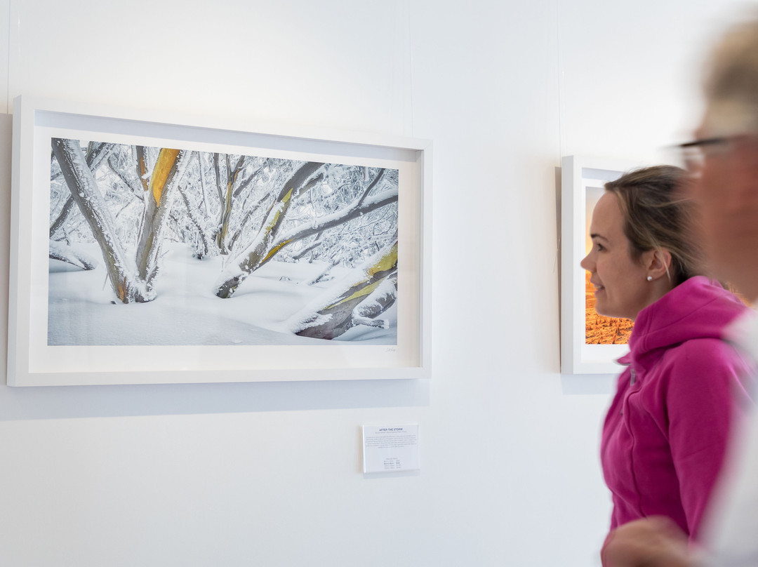 Scott Leggo Gallery-堪培拉必去景点