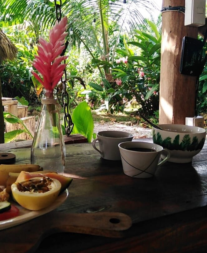 Samana Ecolodge主图