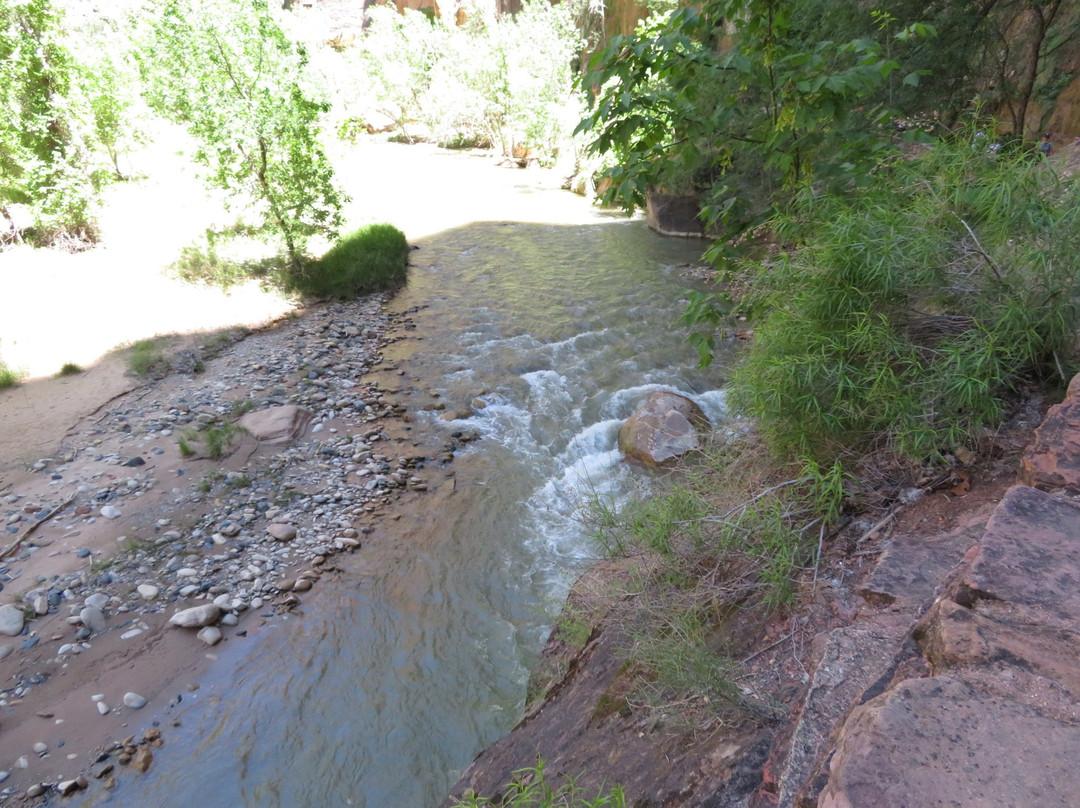 Temple of Sinawava Trail-锡安国家公园必去景点
