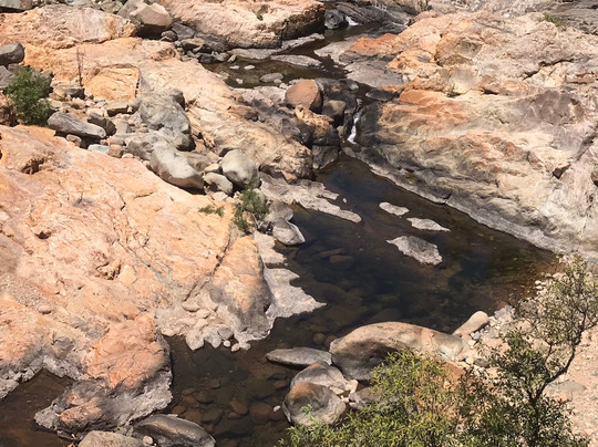 Bowling Green Bay National Park-Alligator Creek必去景点