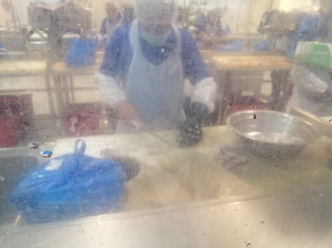 Sharjah Jubail Fish Market-沙迦必去景点