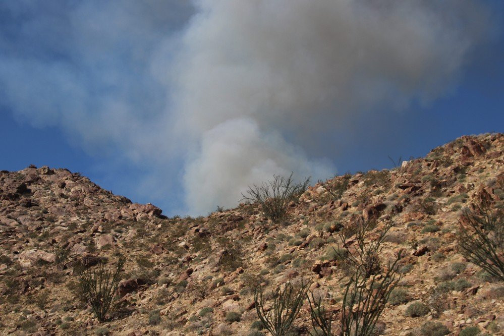 Borrego Palm Canyon Nature Trail-波瑞戈泉必去景点