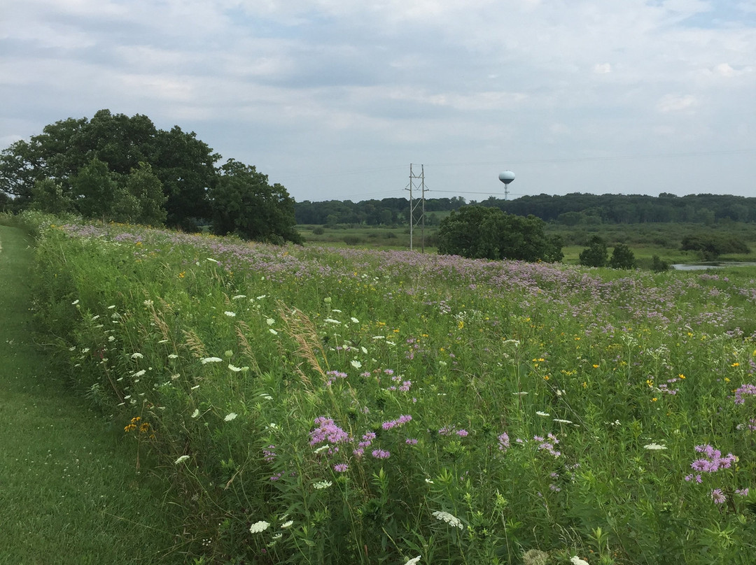 Pheasant Branch Creek Conservancy-Middleton必去景点