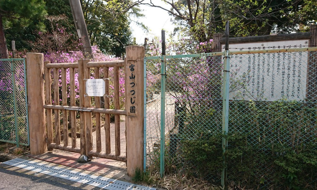 Miyayama Tsutsuji-en Park景点图片