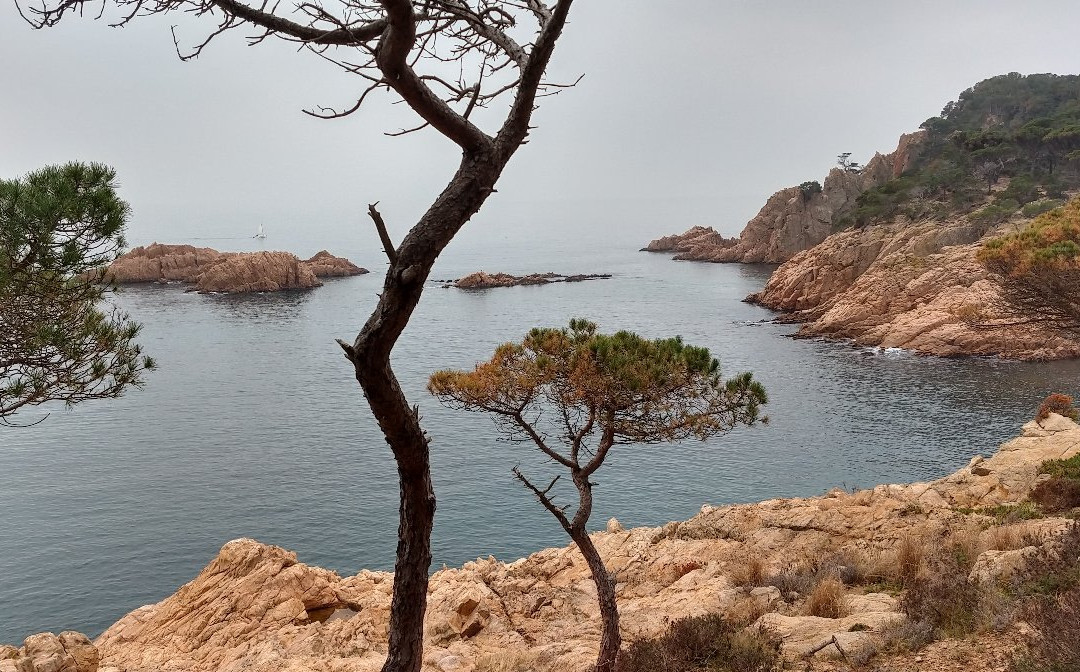 Chemin de Ronde景点图片