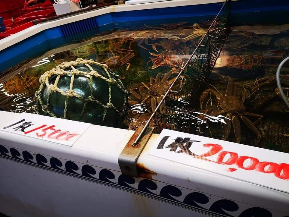 Sakai Port Seafood Shopping Center-境港市必去景点