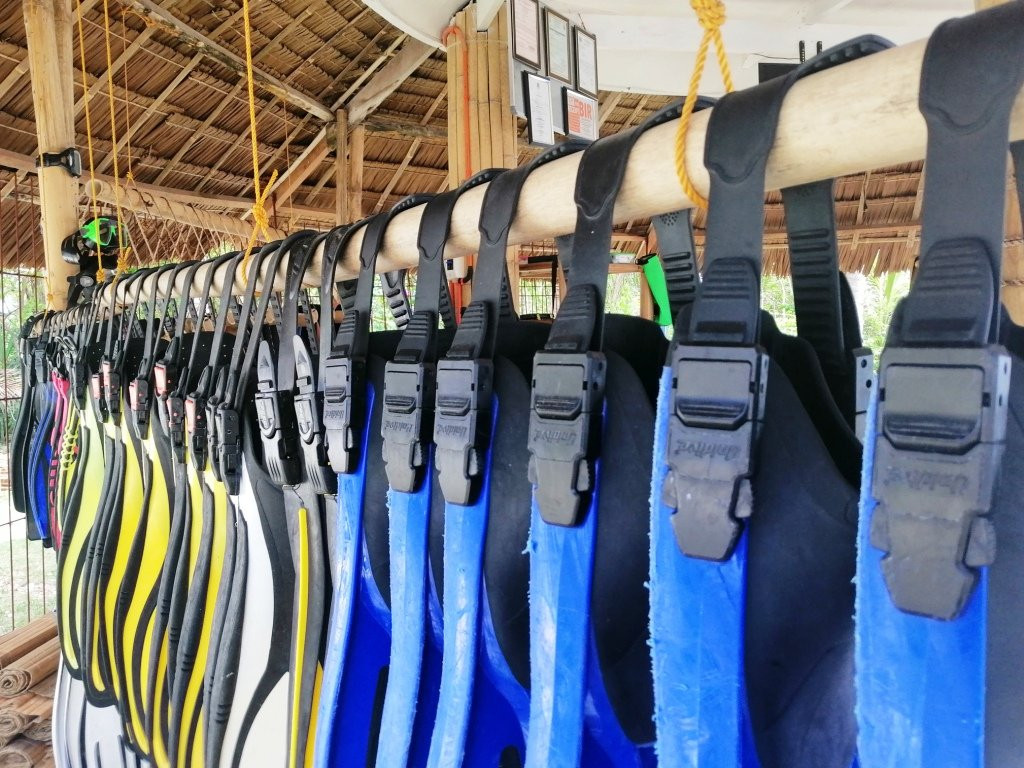 Dive Point Siquijor-圣胡安必去景点