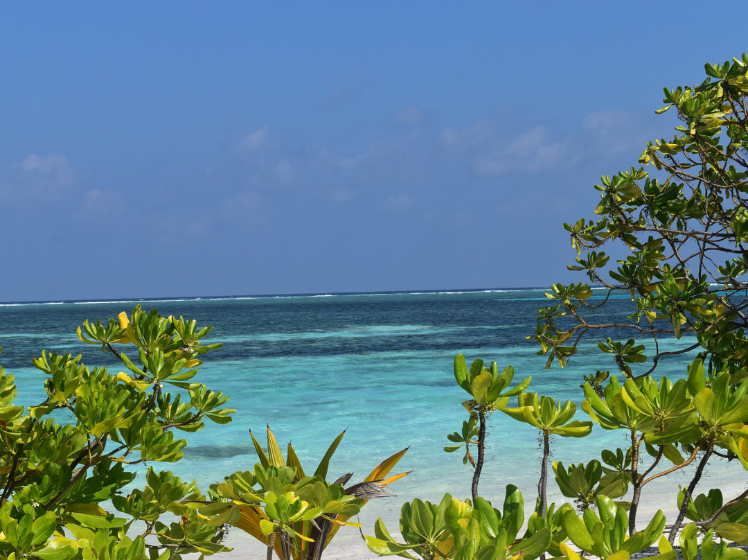 快乐岛度假村主图