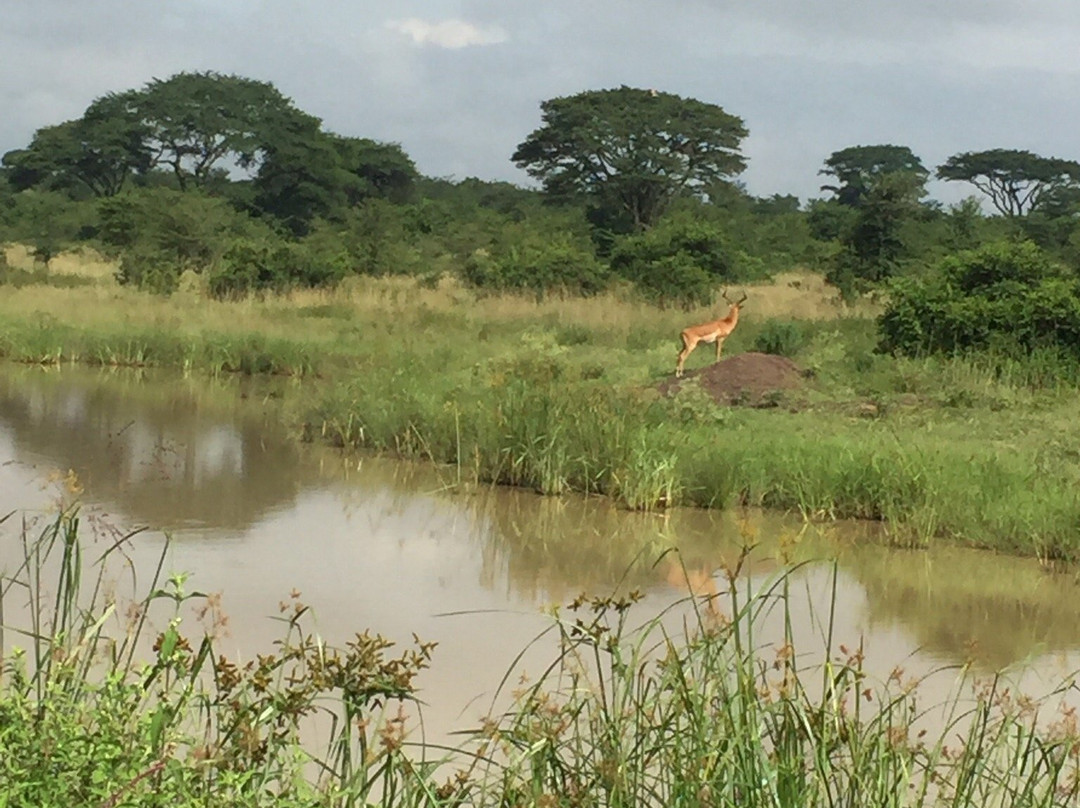 day to day Tours and safaris, Kenya-内罗毕必去景点
