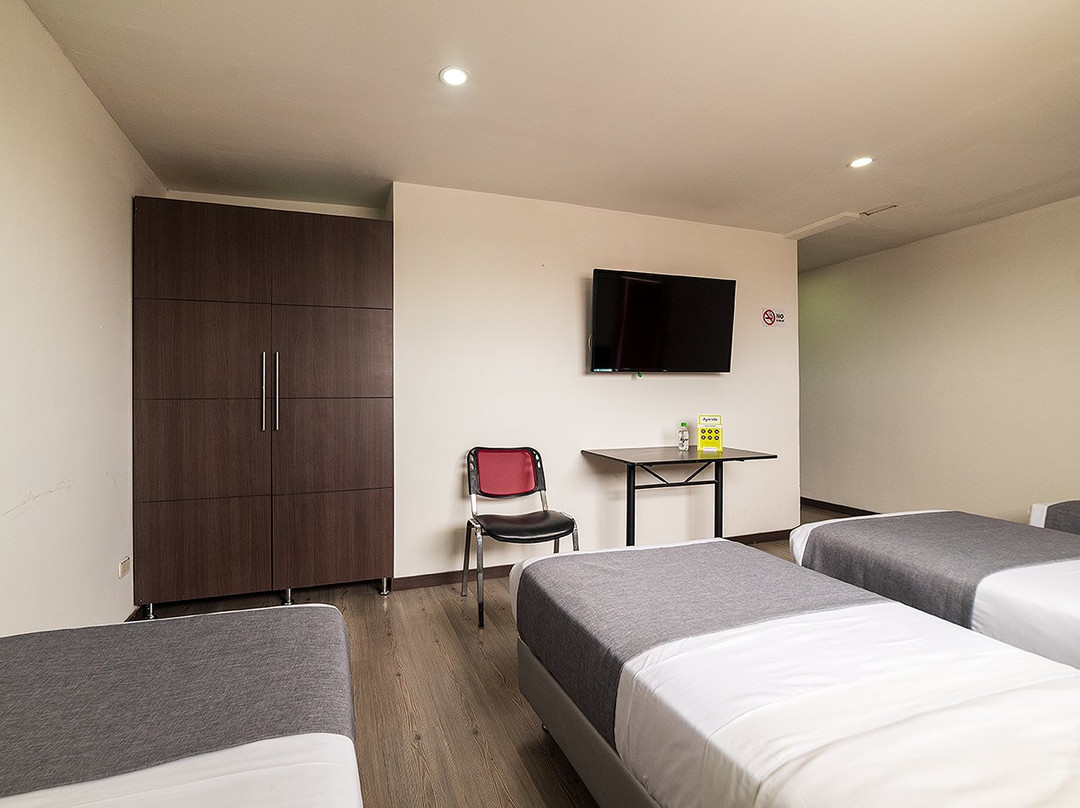 Hotel Ecoferia Boutique主图