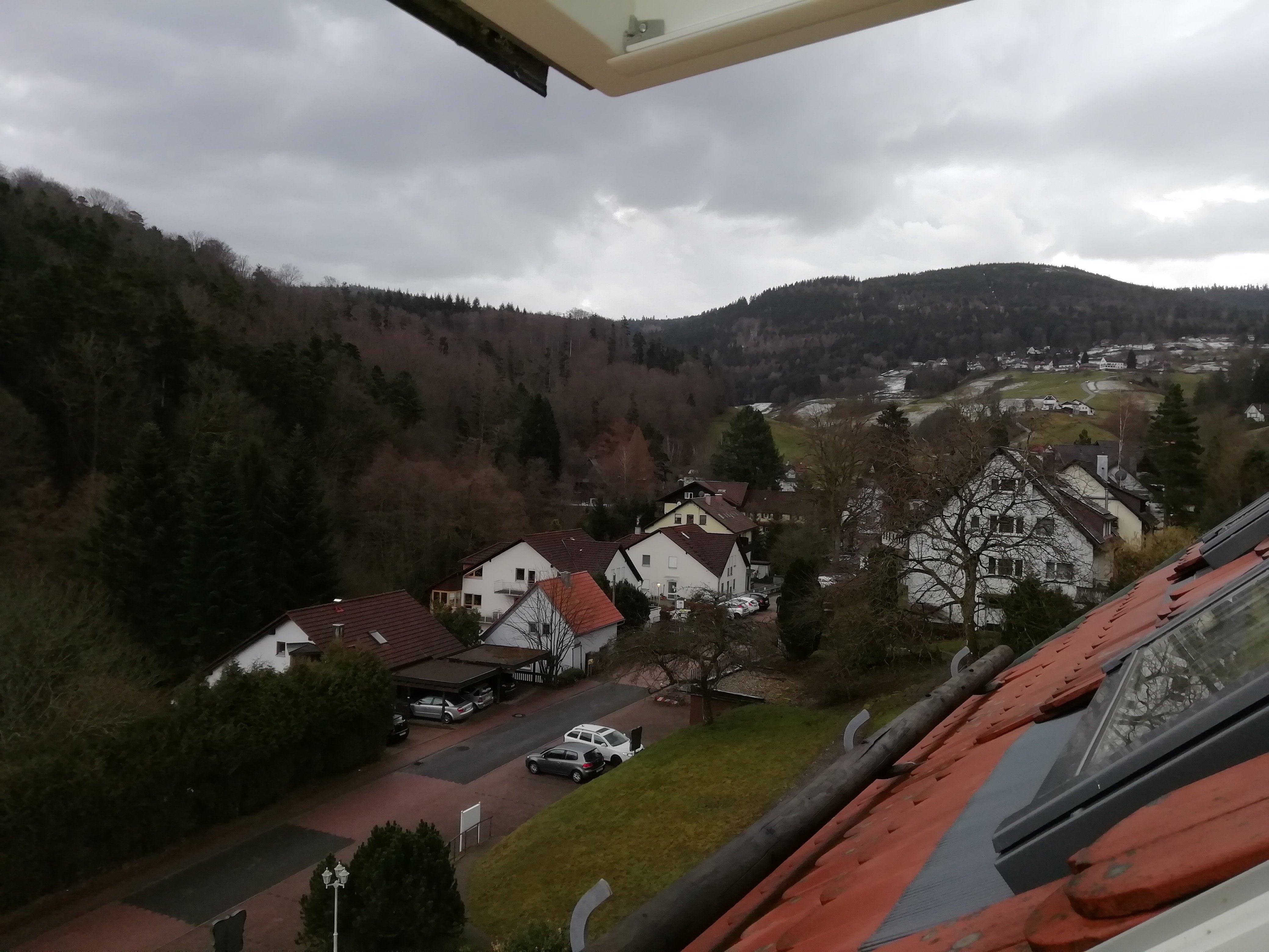 Hotel-Cafe Waldschlosschen-酒店景观