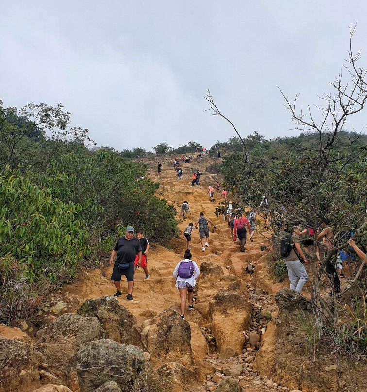 Cerro de Las Tres Cruces-卡利必去景点