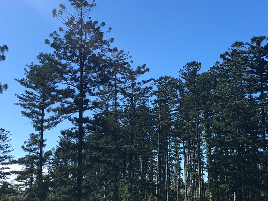 Oxley Creek Common-布里斯班必去景点