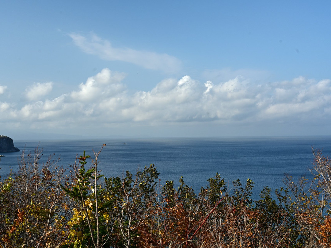 Himenuma Observatory景点图片