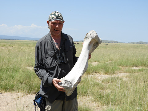 Ekea Safaris-迪亚尼必去景点