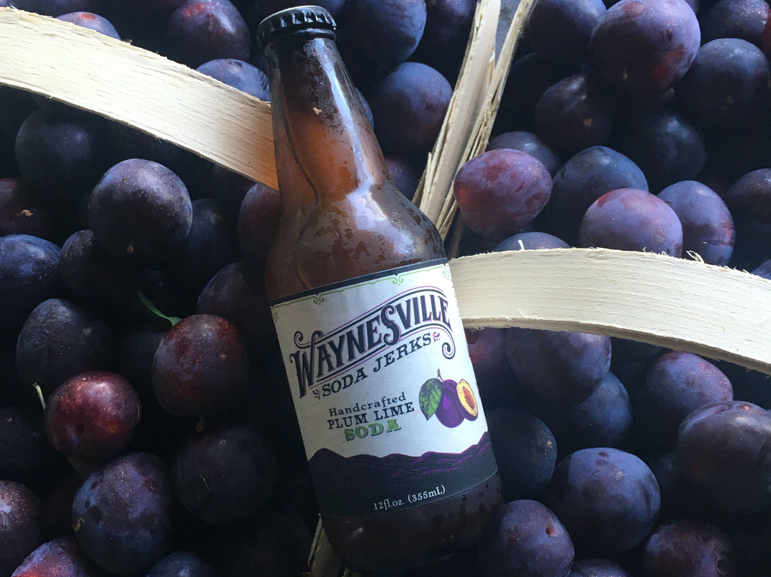 Waynesville Soda Jerks-韦恩斯维尔必去景点