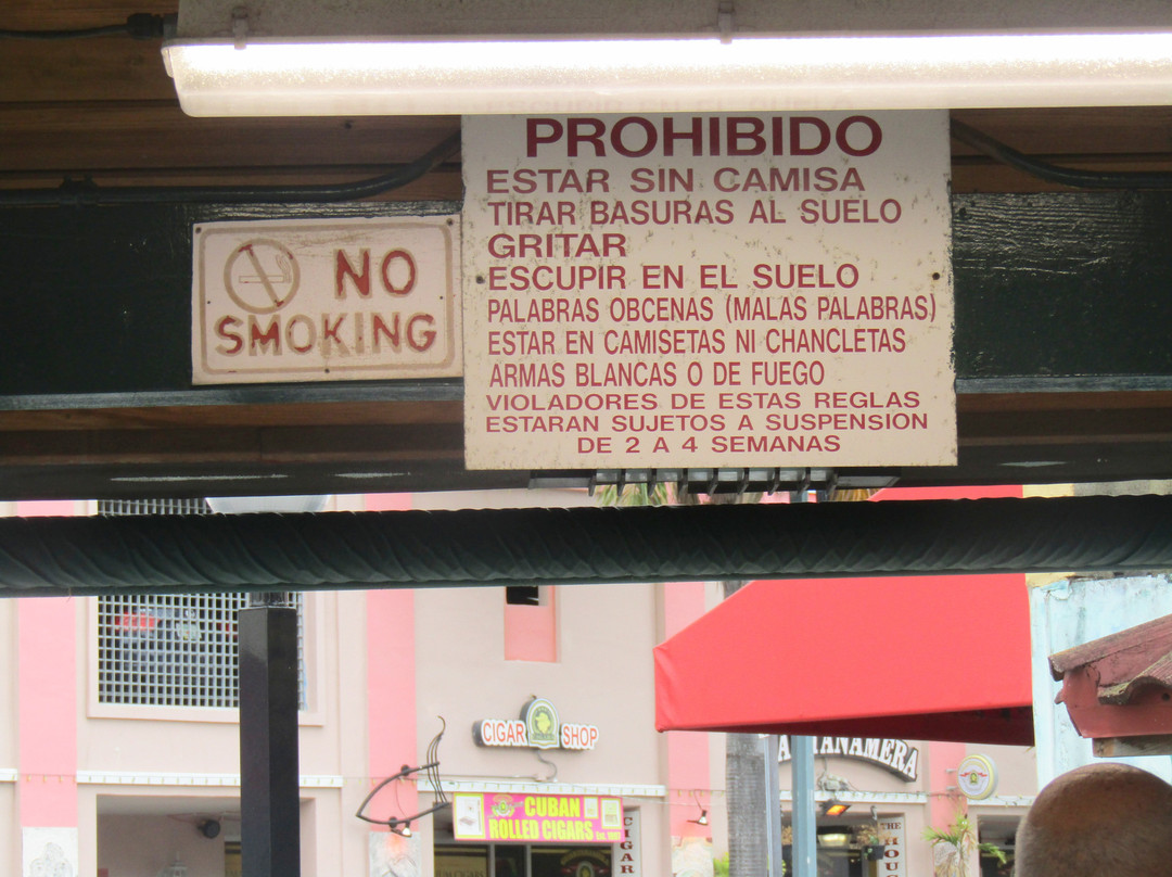 多米诺公园-迈阿密必去景点