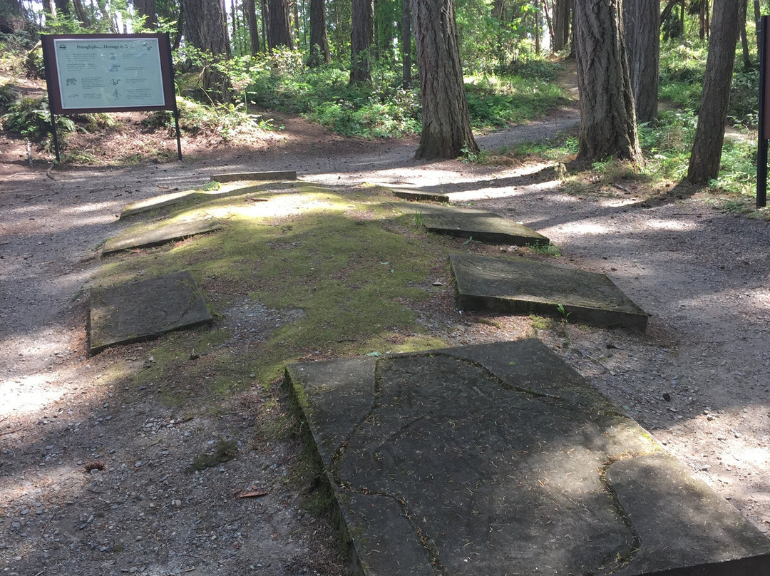 Petroglyph Provincial Park-纳奈莫必去景点