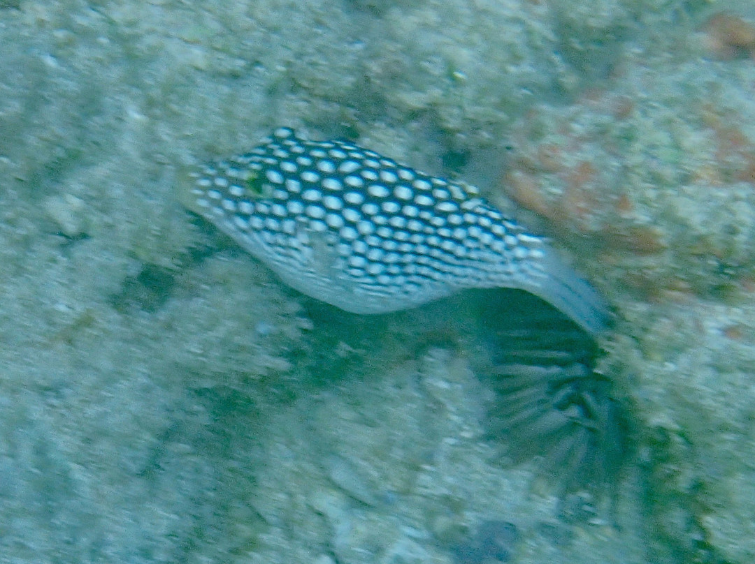 Kuilima Cove-Kawela Bay必去景点