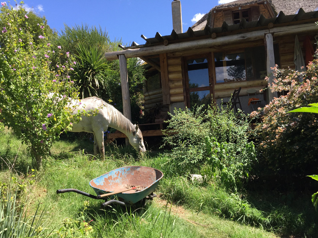 Caballos De Luz-Rocha必去景点