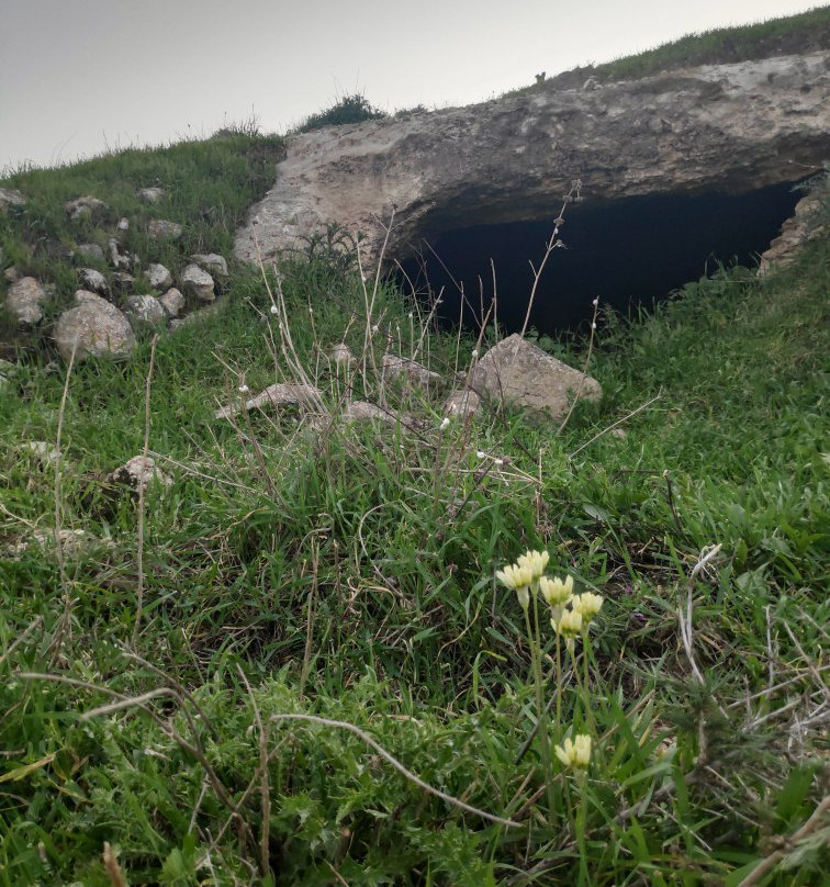 Horvat Rimmon-Lehavim必去景点