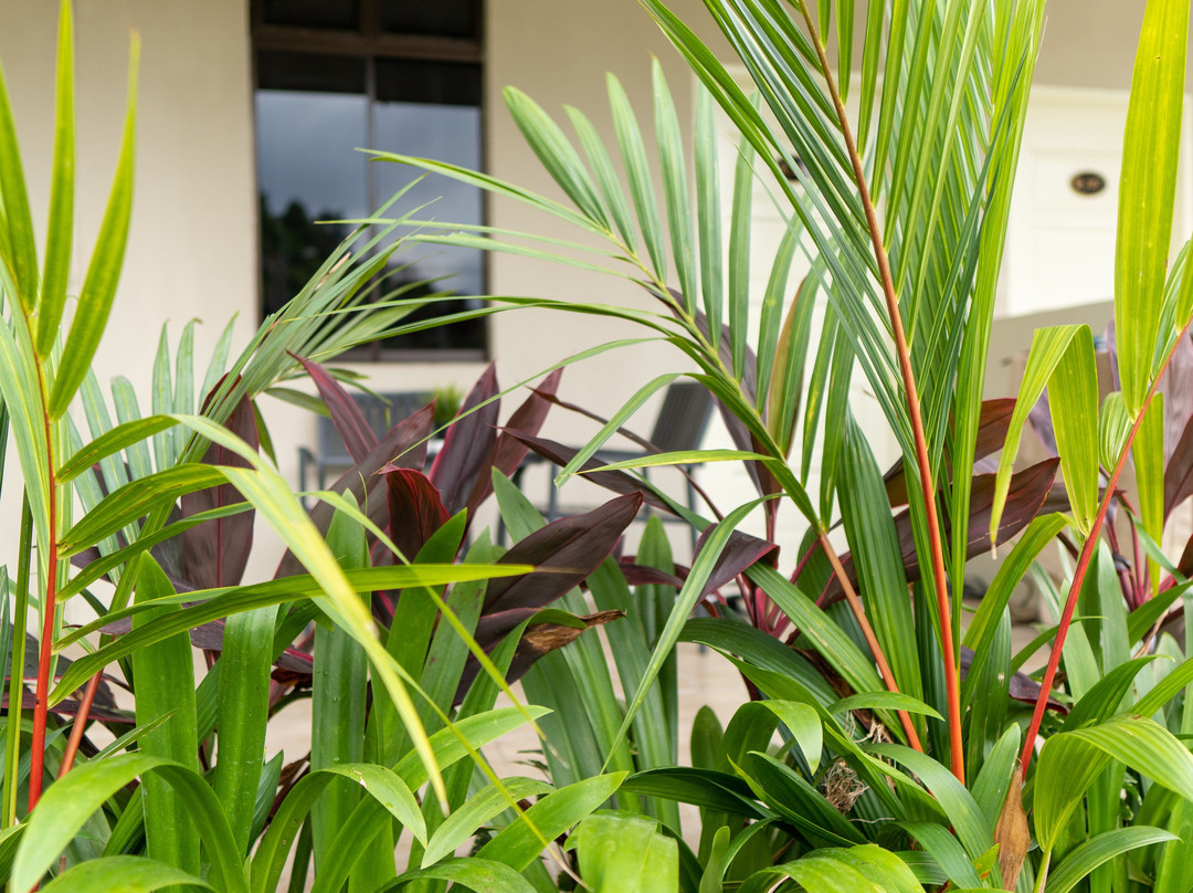 Pemandangan Indah Guest House主图