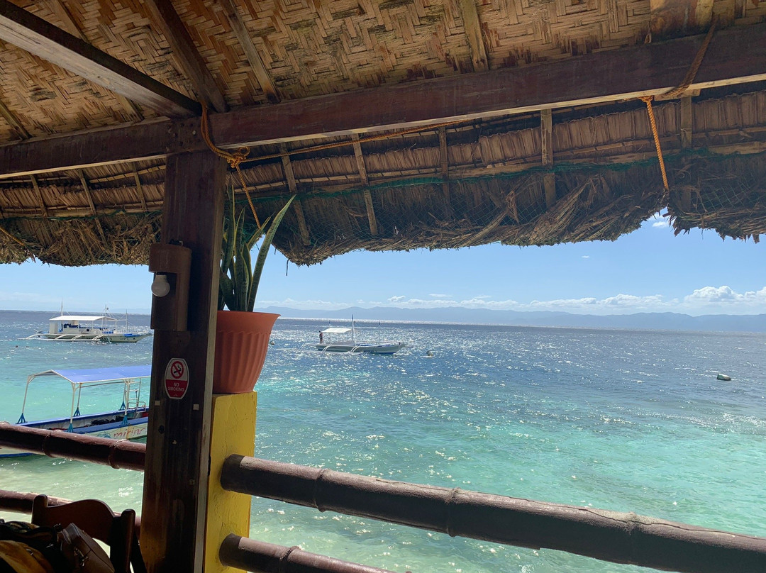 Neptune Diving Adventure Resort主图