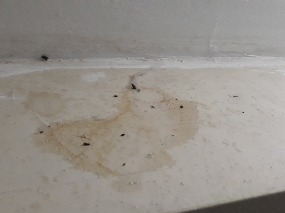 Virginia Palace Hotel & Spa主图