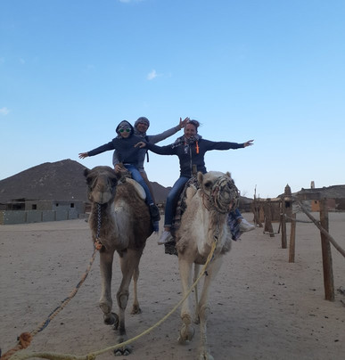 Essential Egypt Experiences-赫尔格达必去景点