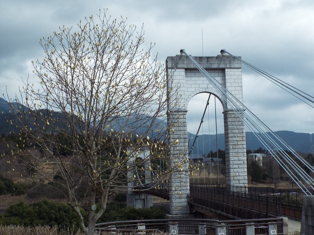 Hadano Togawa Park-秦野市必去景点