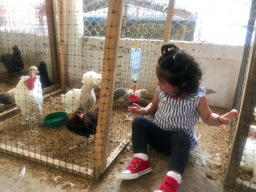 El Solar de Mao-Galapa必去景点