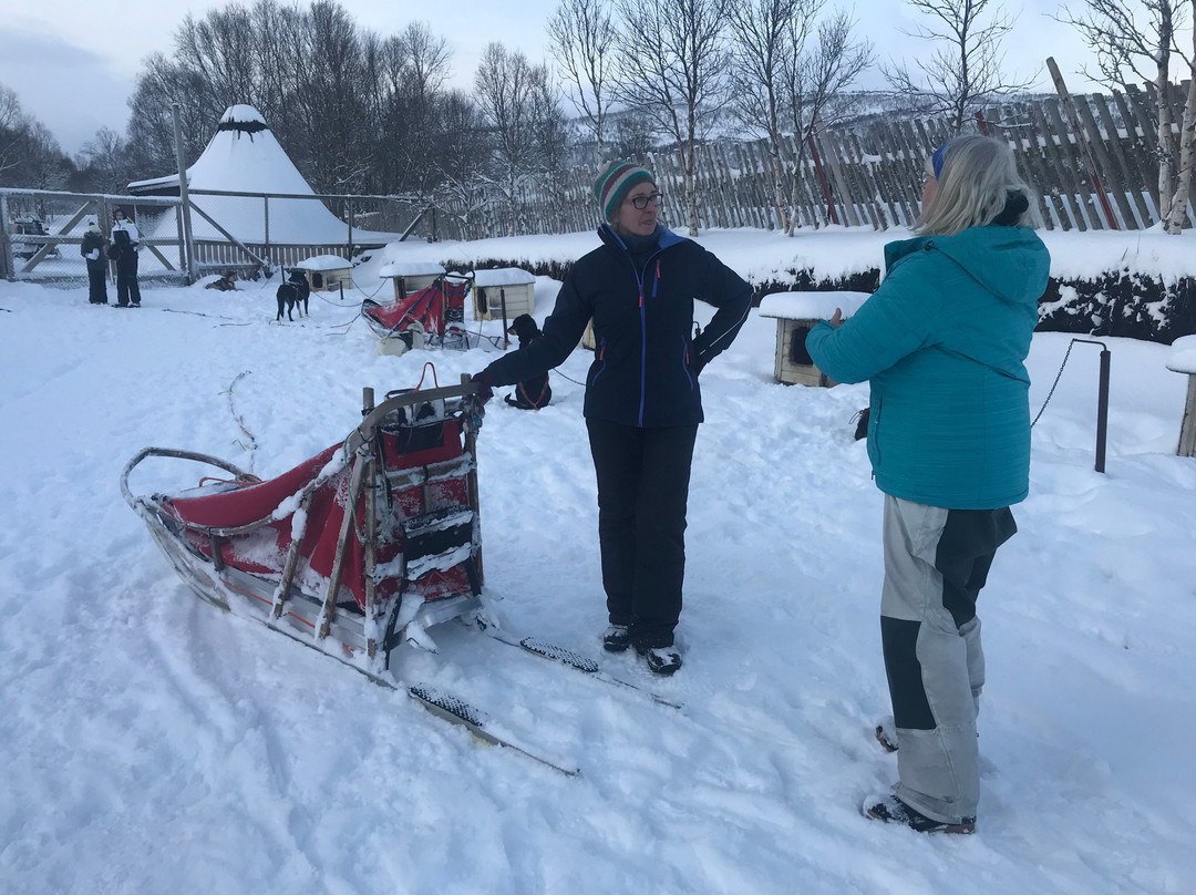 Sortland Villmarkssenter-Sortland必去景点