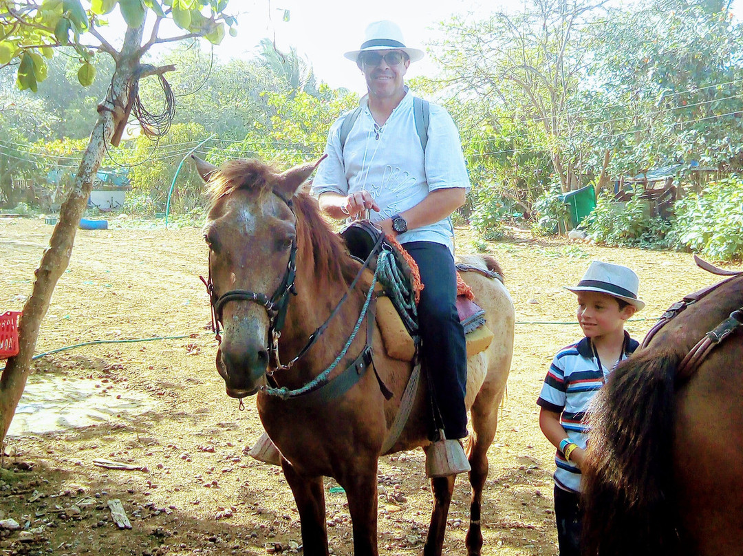 Native Horses-San Luis必去景点