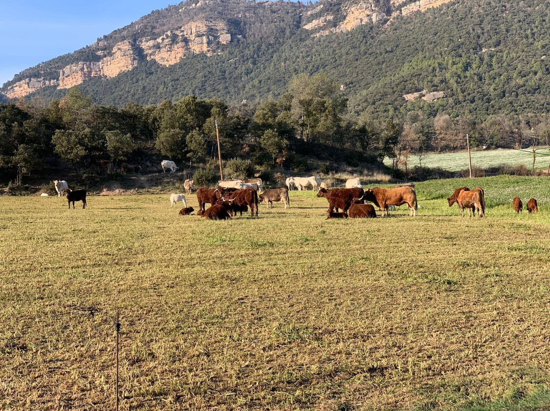 Hotel Cal Majoral主图