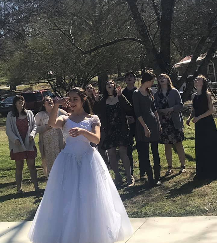 Blackberry Hill Alpacas Weddings and Events景点图片