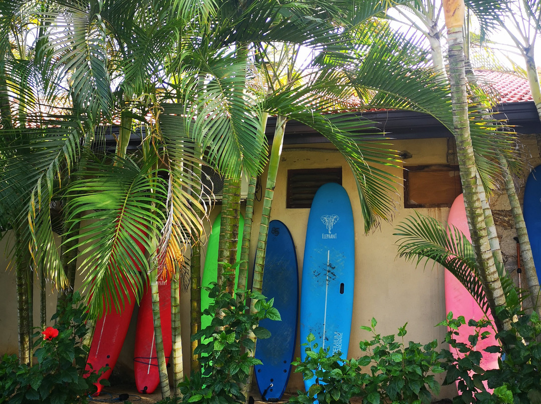 维利格玛海湾度假村主图