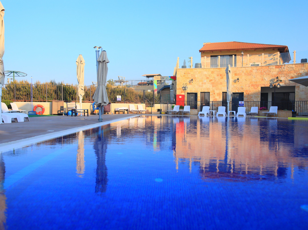 Olive Gilboa Mountain主图