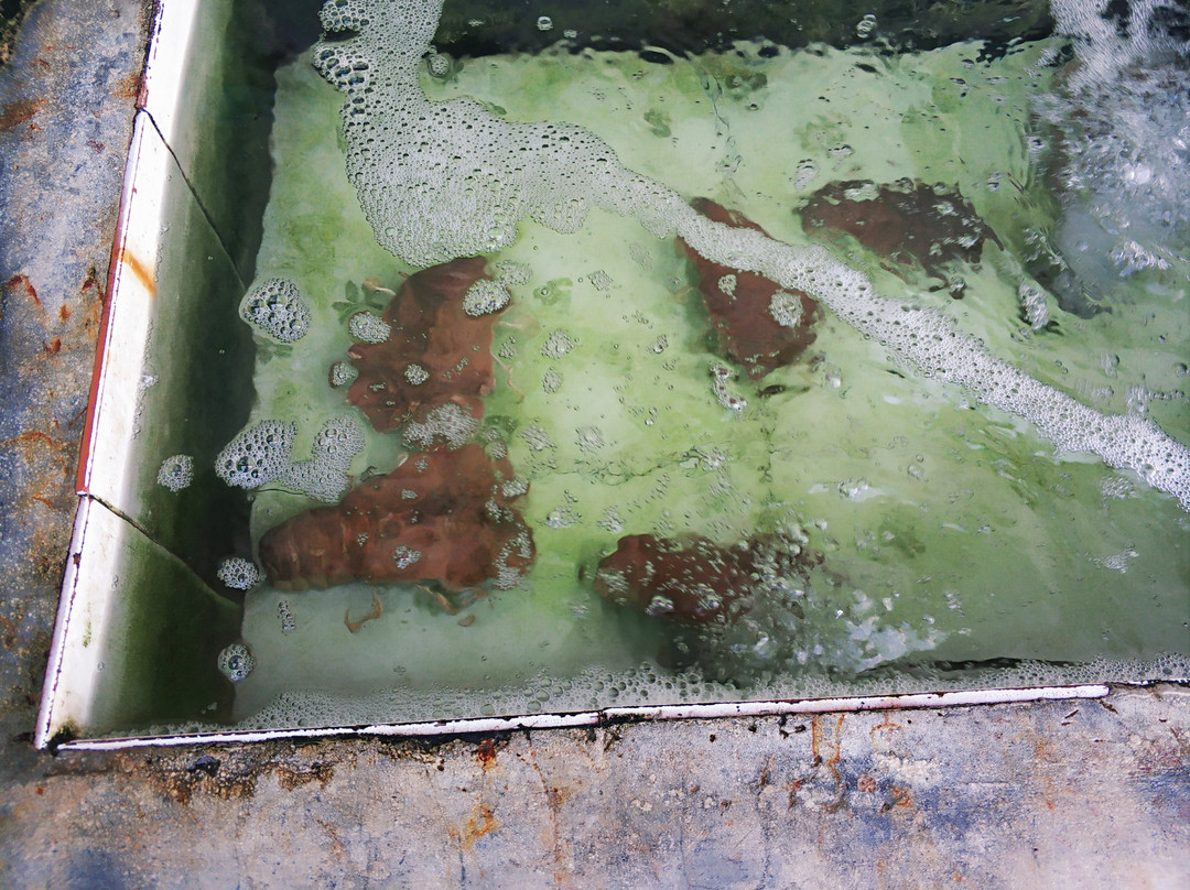 Ban Ao Yai-阁骨岛必去景点