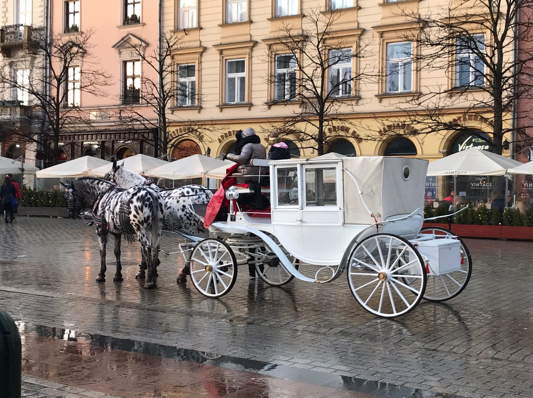 Tango House Bed & Breakfast主图