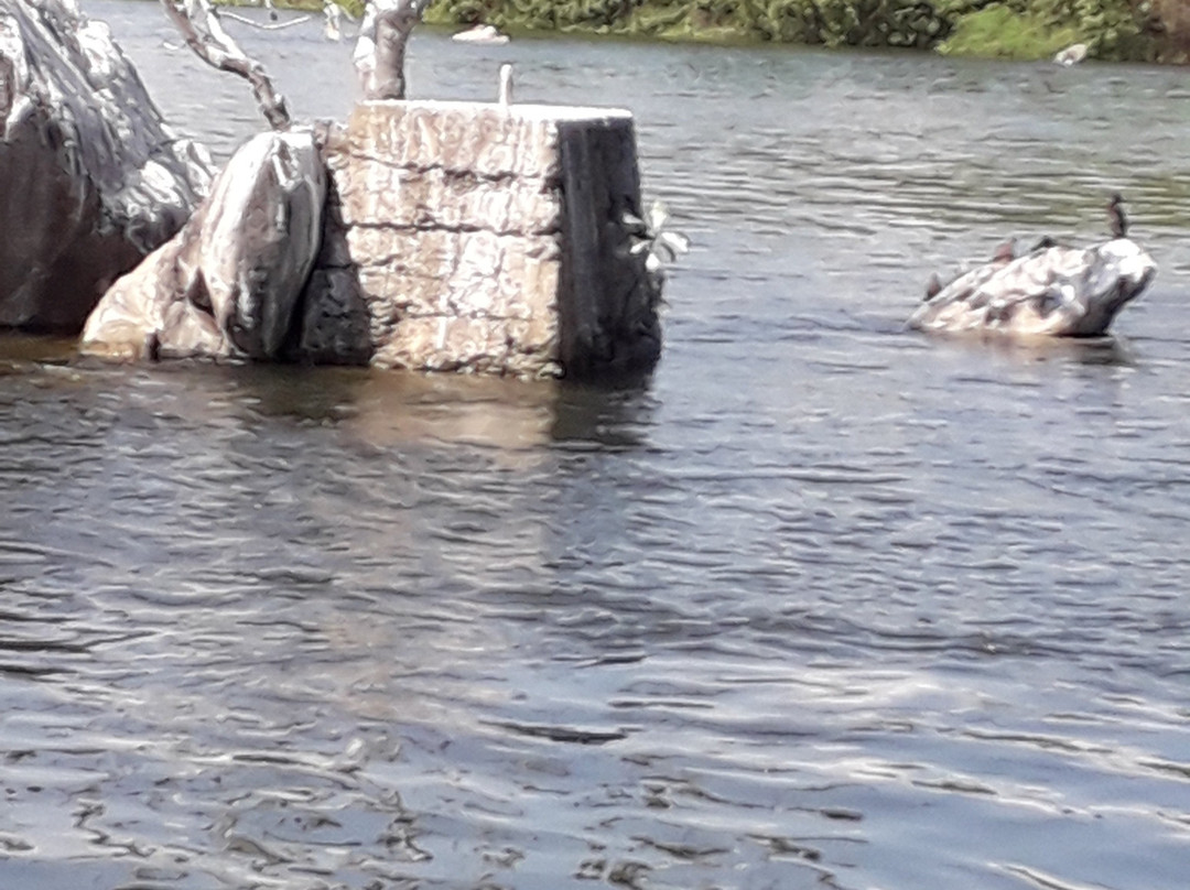 Source of the Nile Museum-金贾必去景点
