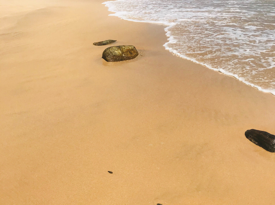 Kingdom Resort主图