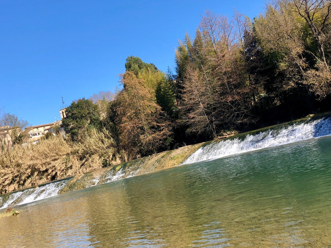 Parc du Domaine de Meric-蒙彼利埃必去景点